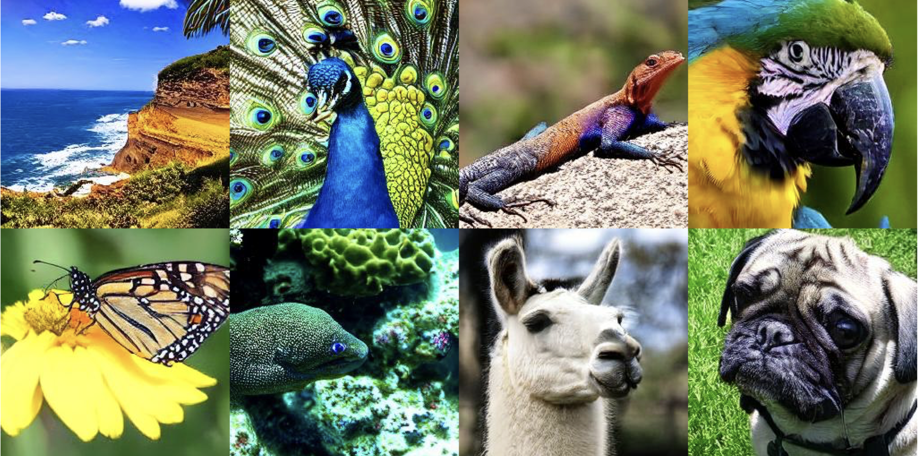 Purrception: Variational Flow Matching for Vector-Quantized Image Generation