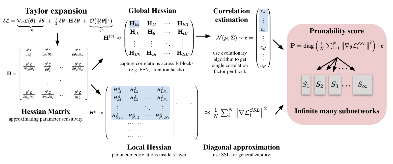 Elastic ViTs from Pretrained Models without Retraining