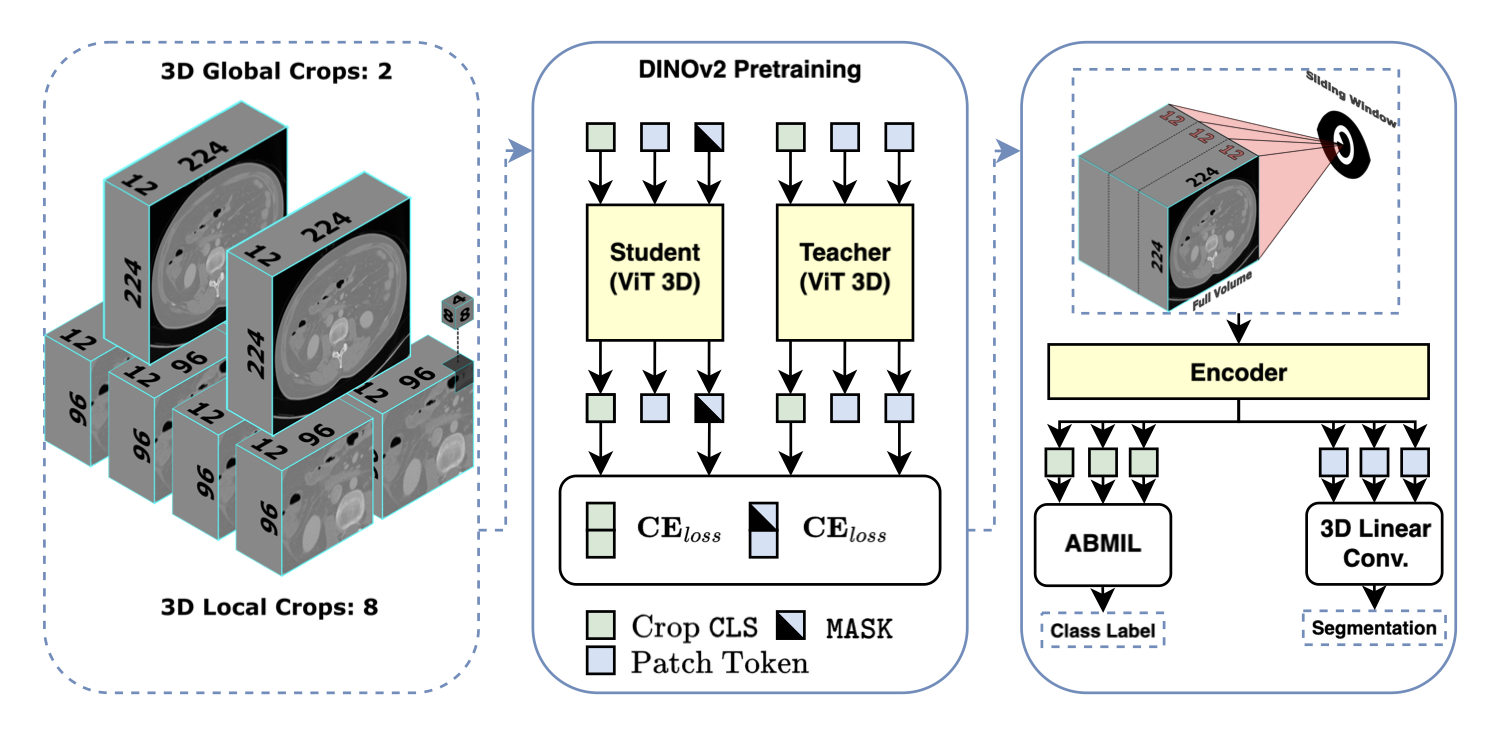 TAP-CT: 3D Task-Agnostic Pretraining of Computed Tomography Foundation Models