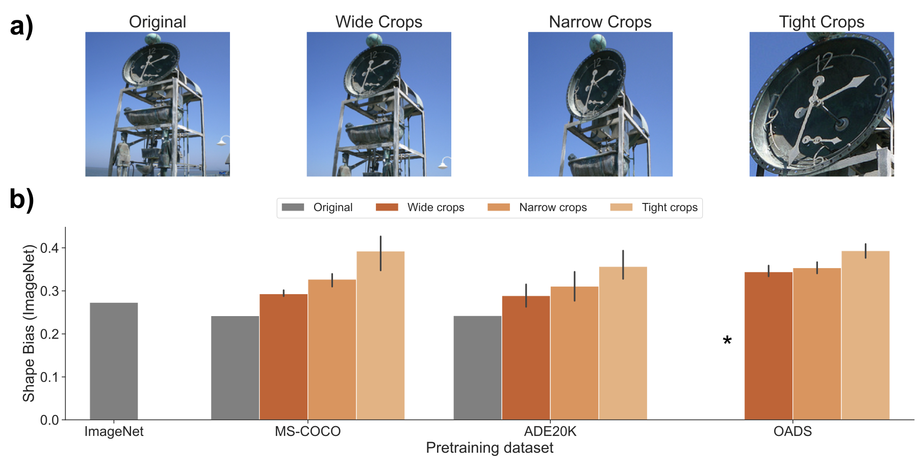 Object-Zoomed Training of Convolutional Neural Networks Inspired by Toddler Development Improves Shape Bias