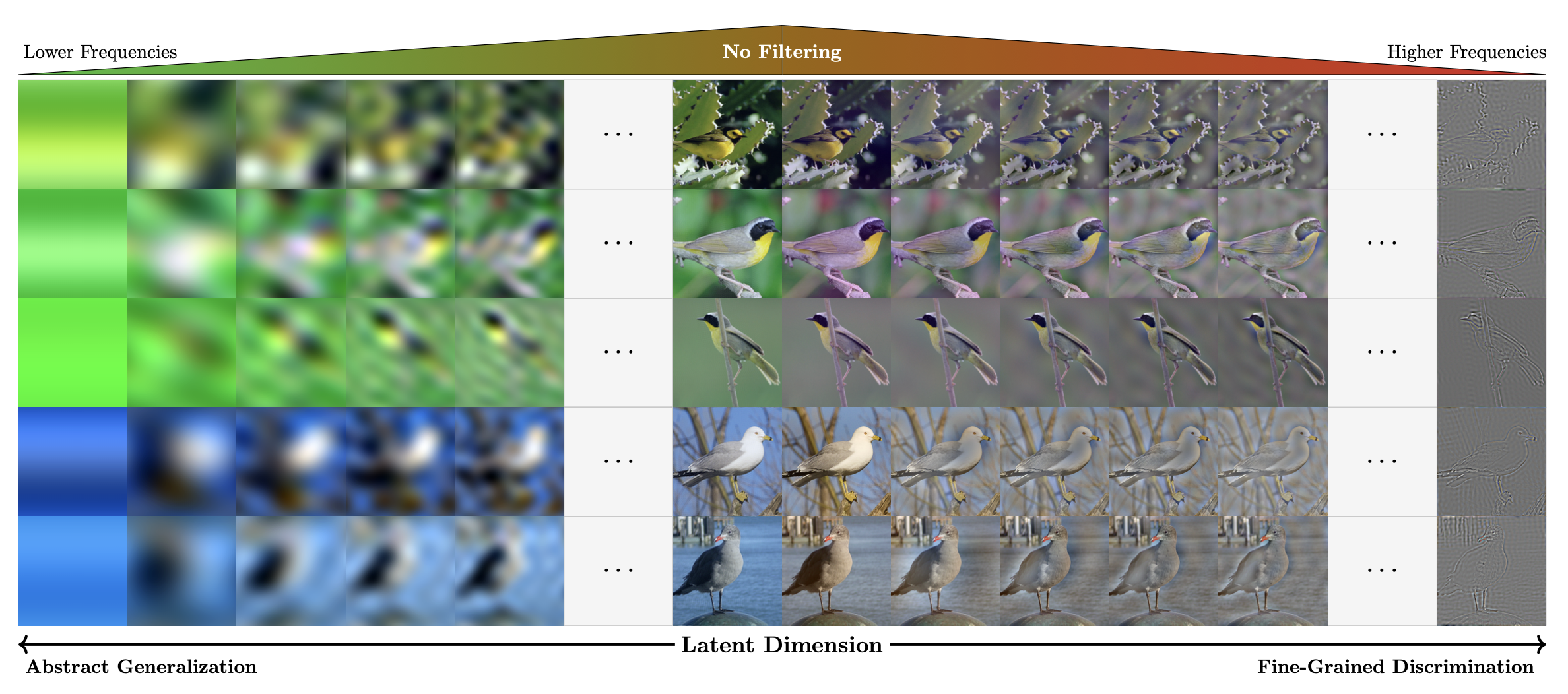 Fourier Self-Supervision for Fine-Grained Generalized Category Discovery
